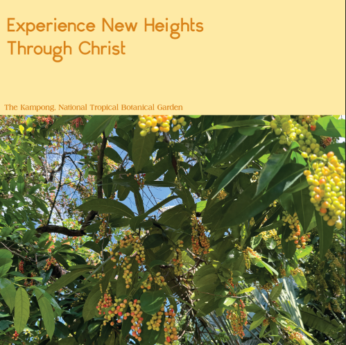 Experiencing New Heights Through Christ